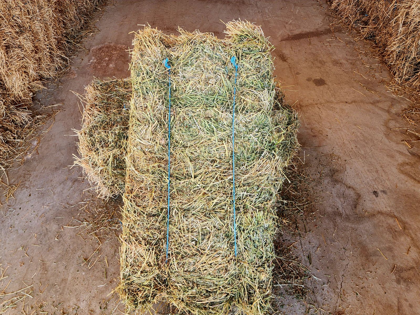 Straw, Lucerne or Hay